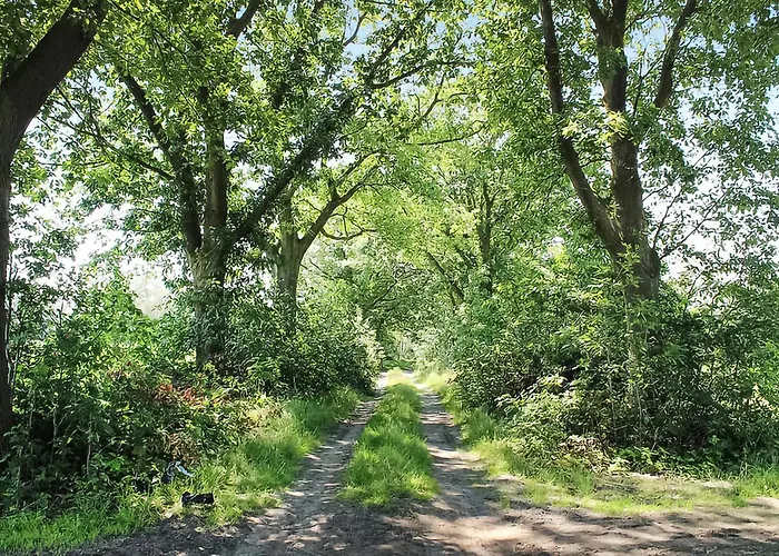 Дом отдыха Awesome In With Sauna