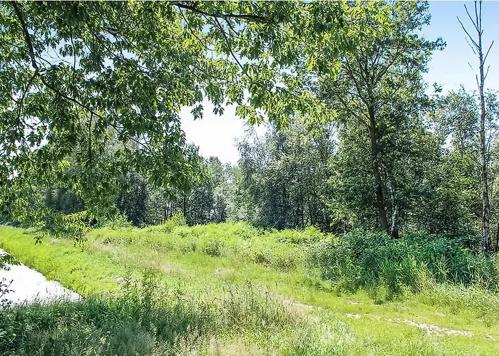 Awesome In With Sauna